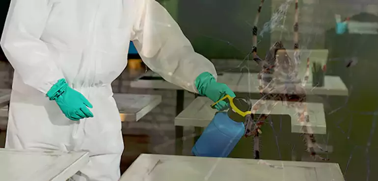 Why Buyers Still Want Homes With Pest Infestations in Osceola, AR?