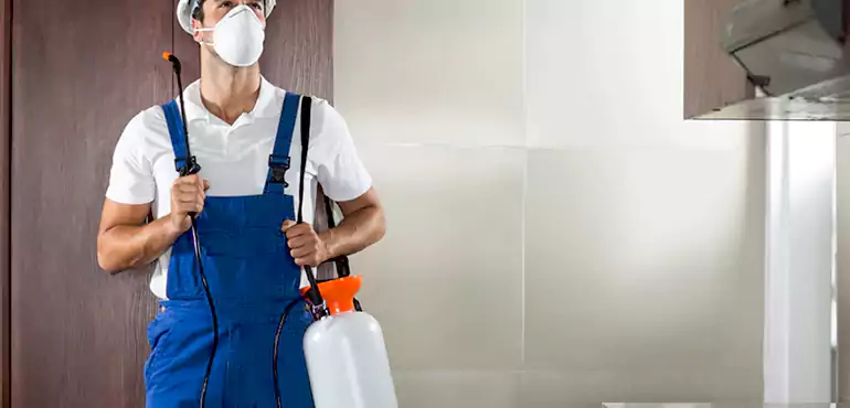 Why Osceola Homeowners Choose Us When Pests Make Selling Difficult