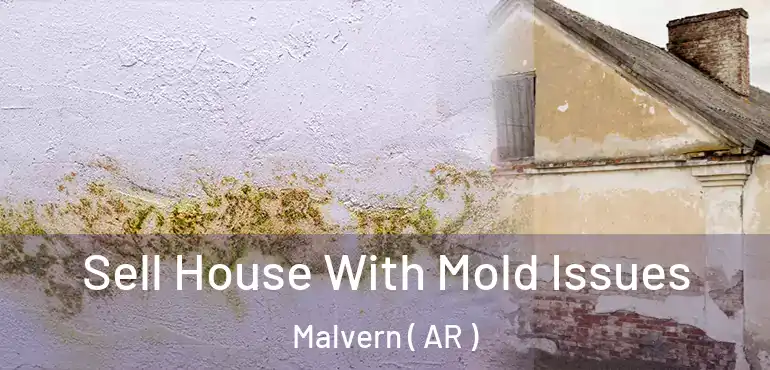  Sell House With Mold Issues Malvern ( AR )