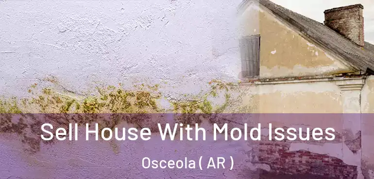  Sell House With Mold Issues Osceola ( AR )