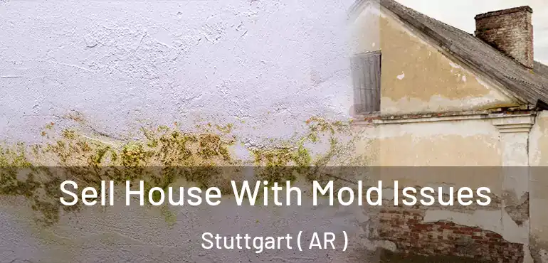  Sell House With Mold Issues Stuttgart ( AR )